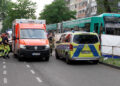 Foto: Alexander Franz