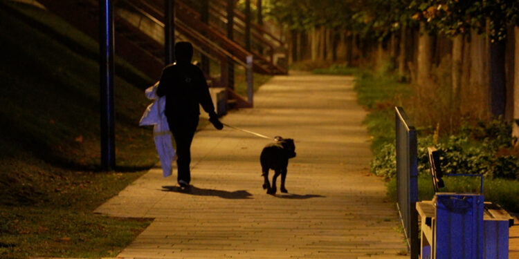 Rhein-Einsatz in Wesseling: Hund gerettet, Mann unterkühlt