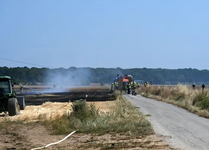 Feldbrand Pulheim Feuerwehreinsatz