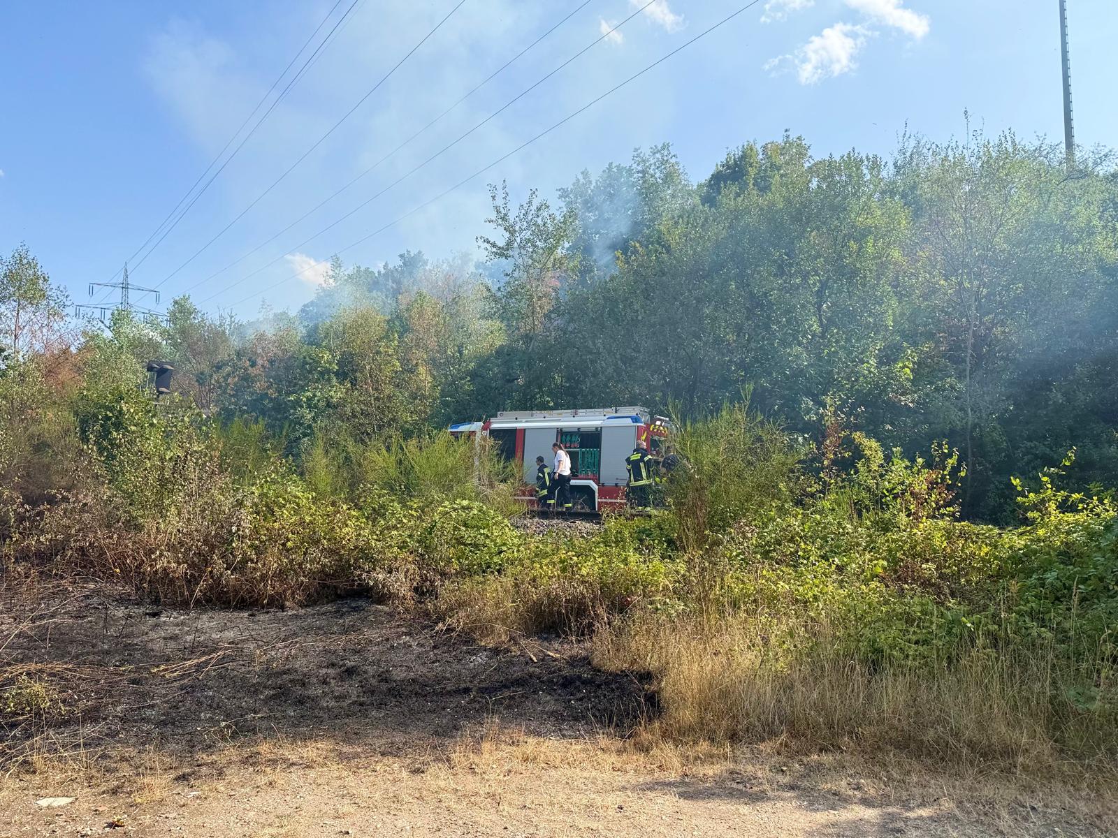 Waldbrand bei Bergheim: 81.500 Quadratmeter Vegetation zerstört – Mehr als 120 Einsatzkräfte verhindern weitere Ausbreitung