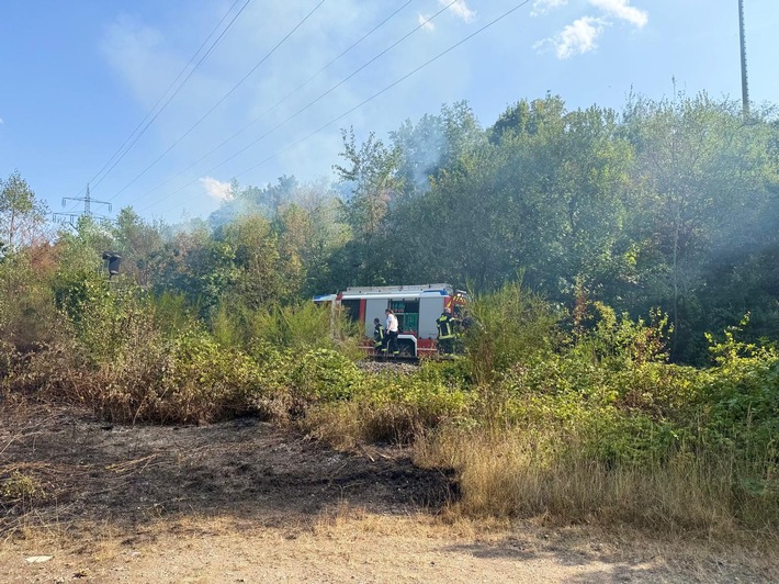 Waldbrand Glessener Höhe Großer Waldbrand an Glessener Höhe: 81.500 m² zerstört Feuerwehreinsatz
