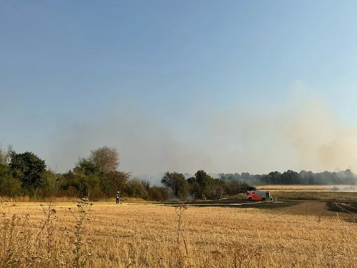 Flächenbrand Bonn Dransdorf Feuerwehreinsatz